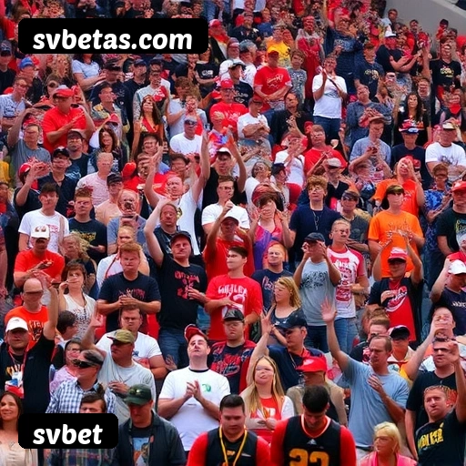 Tabela RTP dos jogos de cassino da svbet